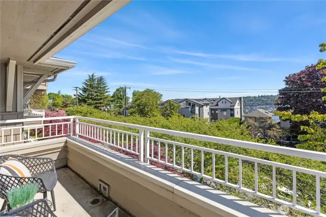 Views of Lake Union and Olympic Mts.