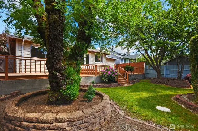 Beautiful garden and yard space.