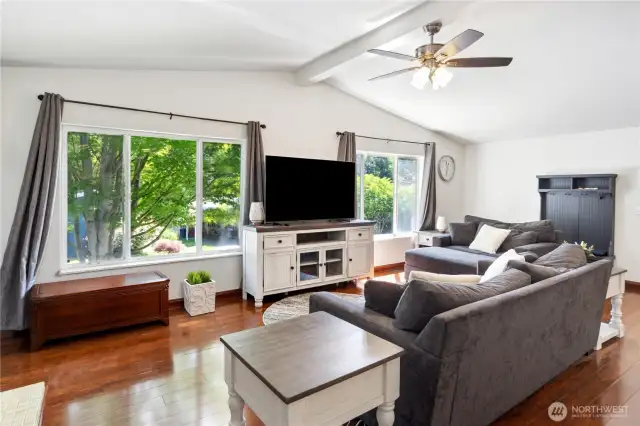 Nice large windows (vinyl double windows throughout the house)