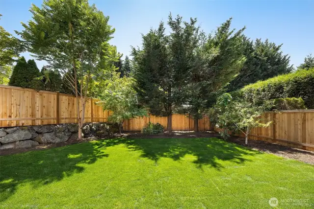 All the fencing is brand new, and completely encloses the back yard for pups or kiddos! Enjoy mature, fruit-bearing fig, apricot, & apple trees; grapevines; and blueberry bushes!