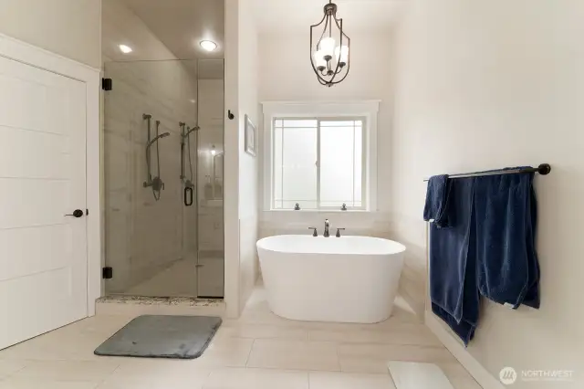 Soaking tub and walk in shower