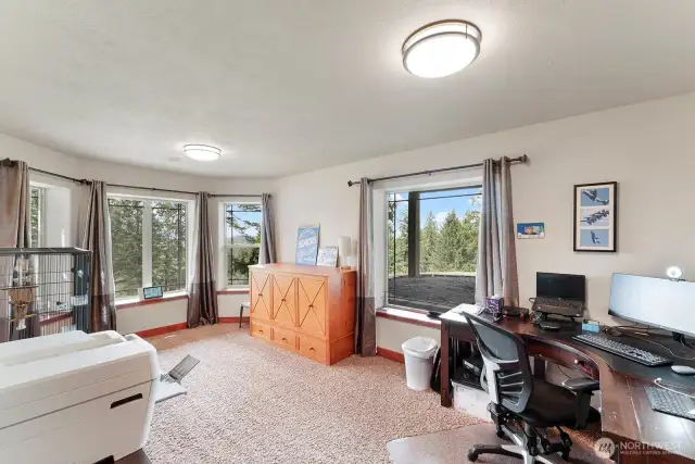 Lower level bedroom