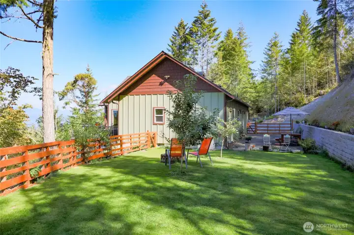 Beautiful green lawn, fully fenced backyard with fruit trees.