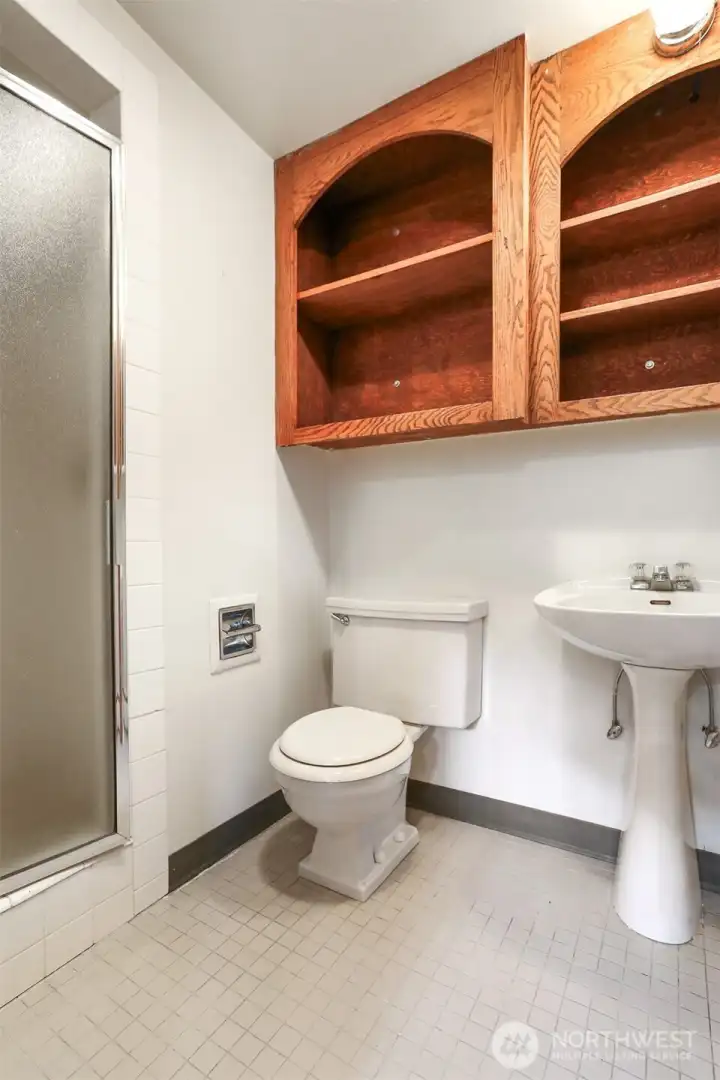 Lower level guest bathroom