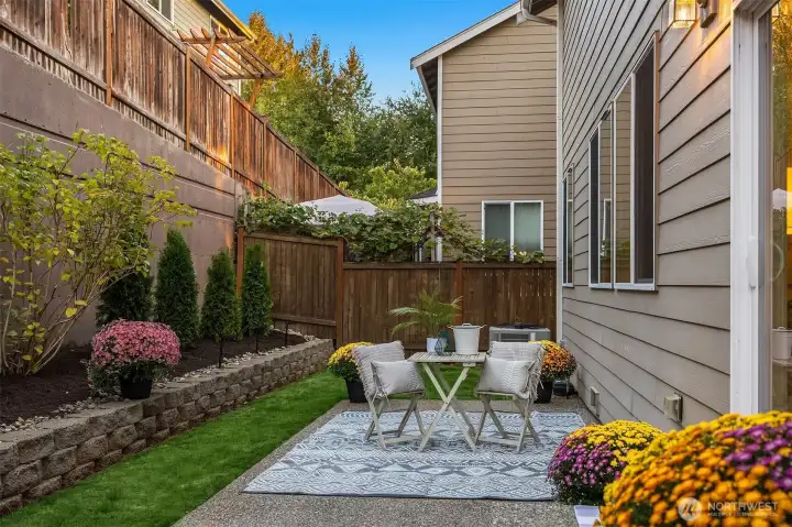 Large Backyard Patio