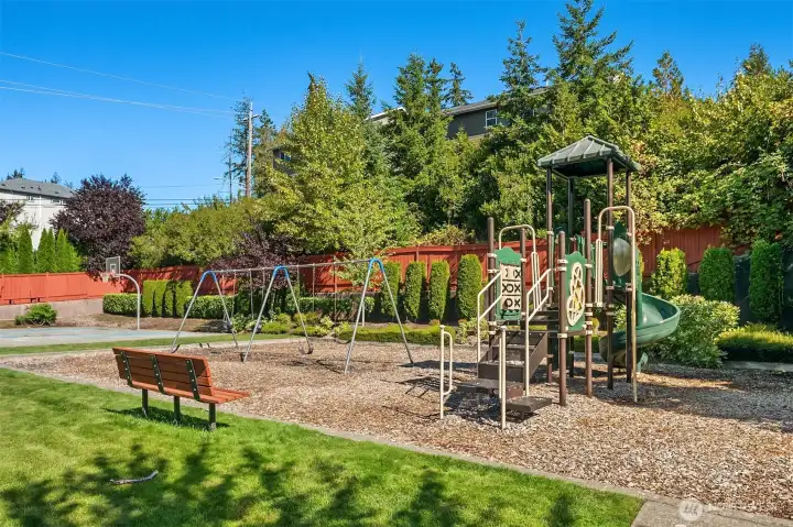 Community Park