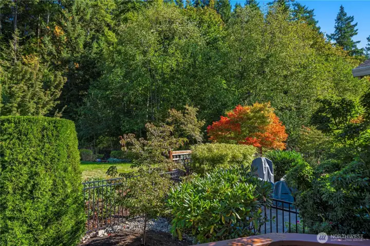 Exceptional views and privacy from the back deck.
