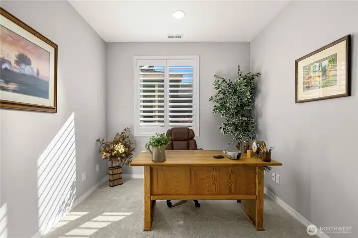 Spacious den bathed in natural light.