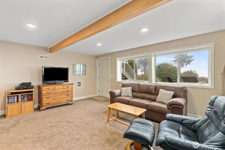 Lower level rec. room with a closet could serve as a play area, a guest suite or a gym!