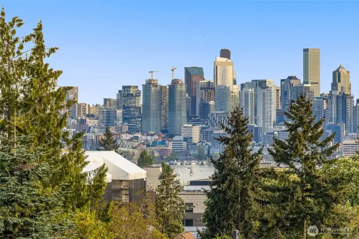 Cityscape framed by nature – Lush greenery and sparkling high-rises create an unforgettable visual contrast.