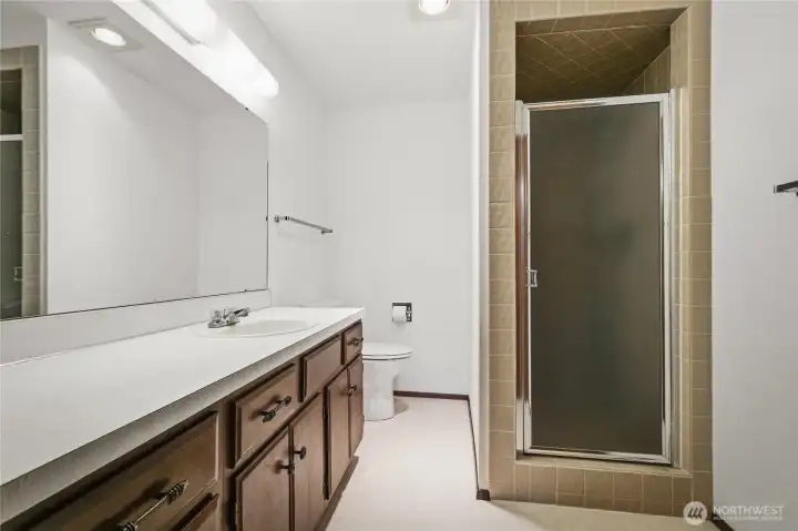 Lower Level Bathroom