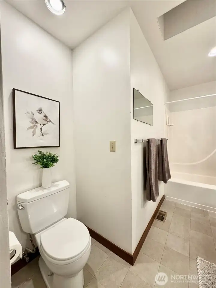 Master Suite Bath with Skylight
