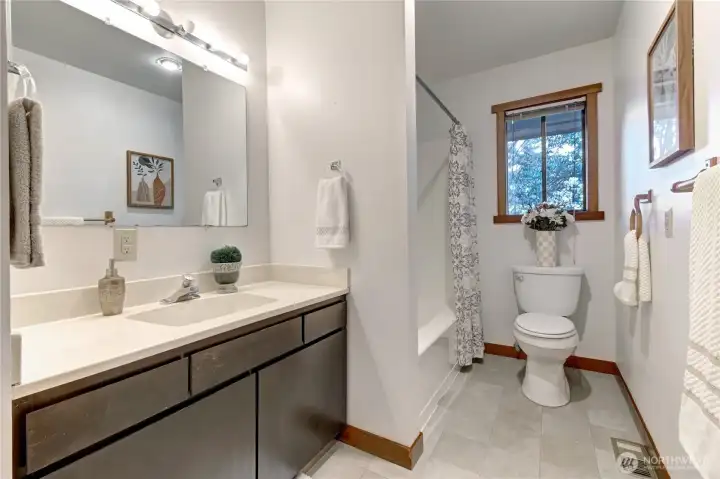 Guest bath - Main floor