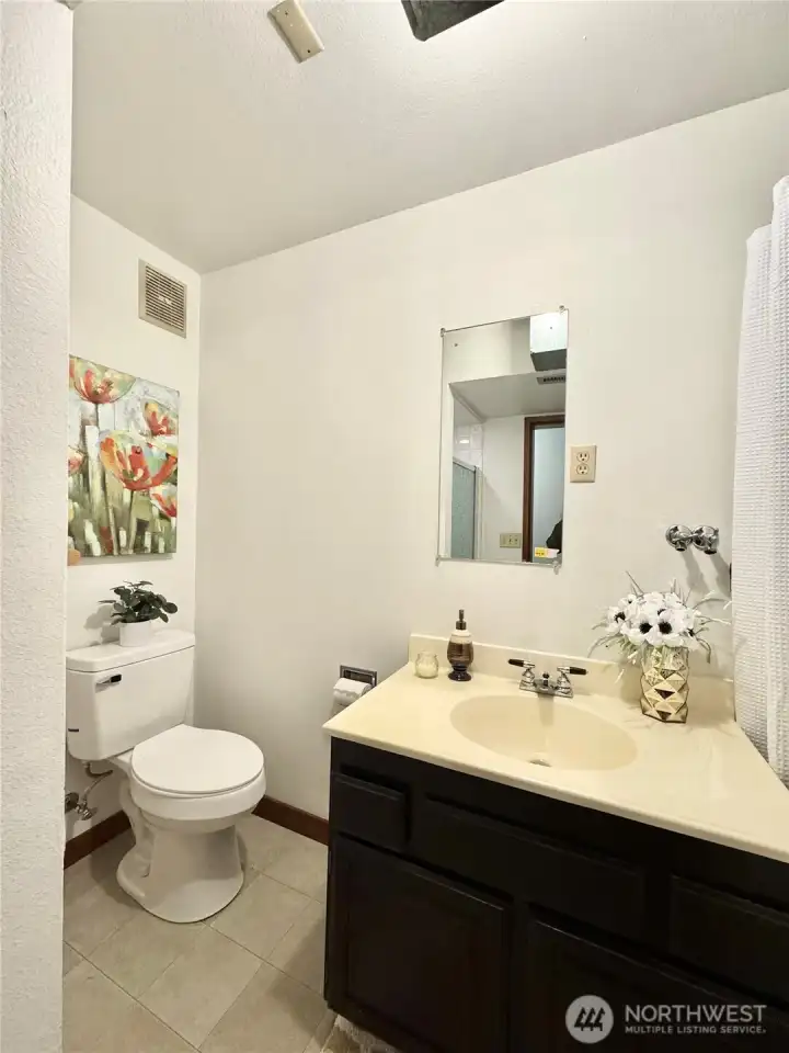 Lower level 3/4 bath