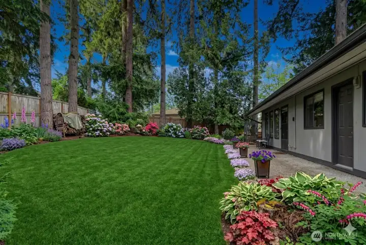 Sunny Southern Exposure all day on rear side of home.