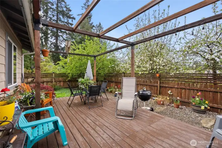Privacy & Play! Check out that private fenced yard overlooking the community park. Perfect for pets, play, or just soaking up the sun.