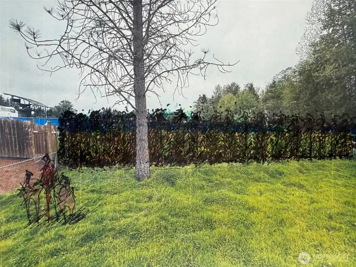 Future Arborvitae Tree Planting - Artist's Rendering. Future Arborvitae Tree Planting - Artist's Rendering.