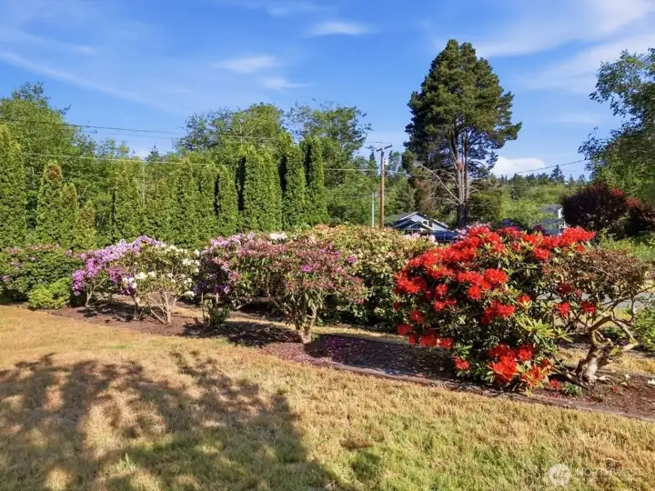There is beauty all around here.