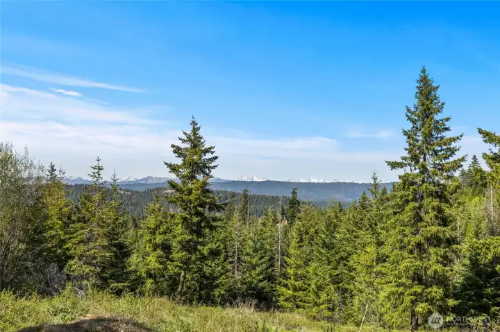 Views are better in person and this gated community is "Toy" friendly. So, bring your snowmobiles, ATV's, side-by-sides and more. Views are better in person and this gated community is "Toy" friendly. So, bring your snowmobiles, ATV's, side-by-sides and more.