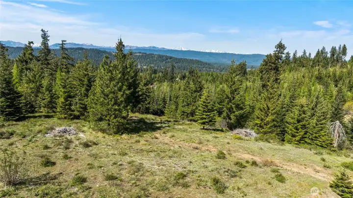 Likely homesite. Move a bit forward, removing some trees and have an epic view from every level. Likely homesite. Move a bit forward, removing some trees and have an epic view from every level.