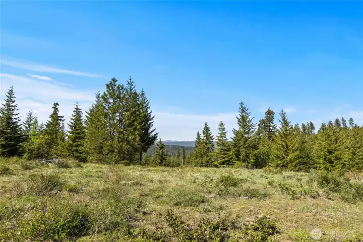 Main home site with lots of potential to capture the Stuart Mountain range views (much better in person than in the picture which makes them seem further away). Main home site with lots of potential to capture the Stuart Mountain range views (much better in person than in the picture which makes them seem further away).