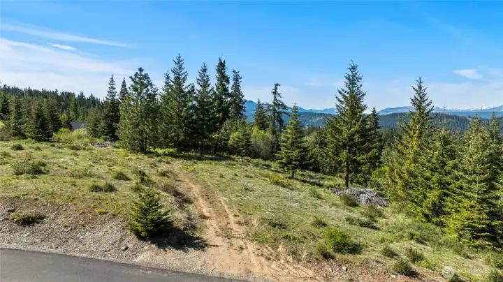 Imagine the driveway you'll put in here. Imagine the driveway you'll put in here.
