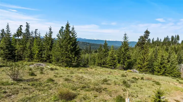 Likely primary home site. Views in person are incredible. Likely primary home site. Views in person are incredible.
