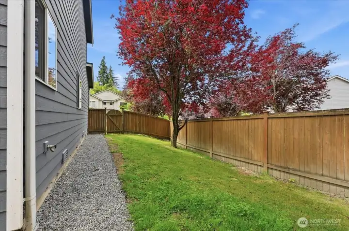 Sideyard