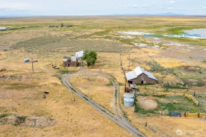 Homstead