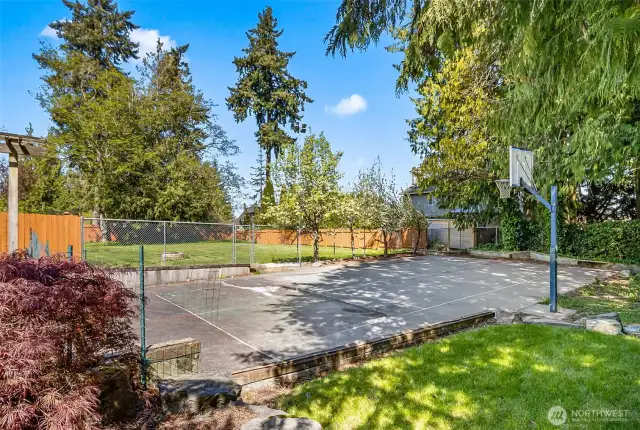 At Home Sport Court~Polish your Game~Tennis~Basketball~Pickleball~Friendly Competition~No Membership Fees~
