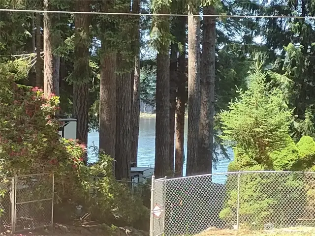 Views of the Lake