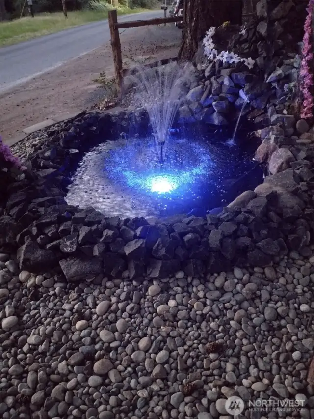 Blue Lighted pond