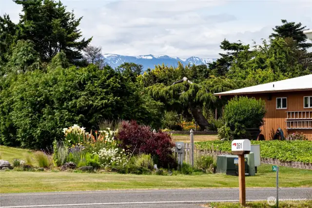 Mountain view from the front yard.