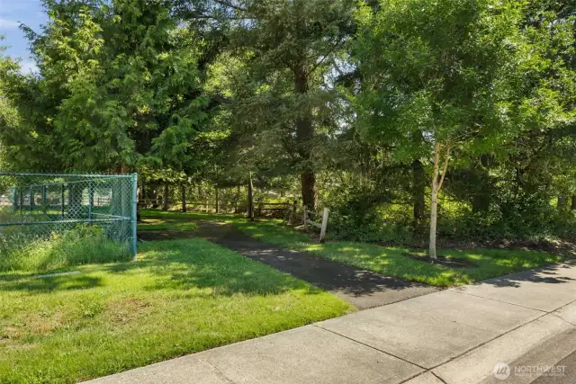 Green belt