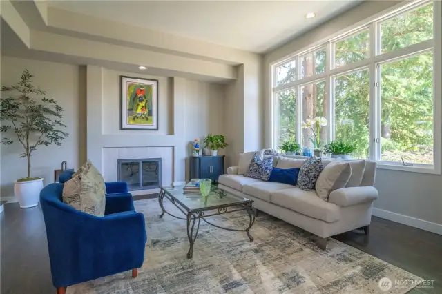 Living room off the entry...lots of natural light!