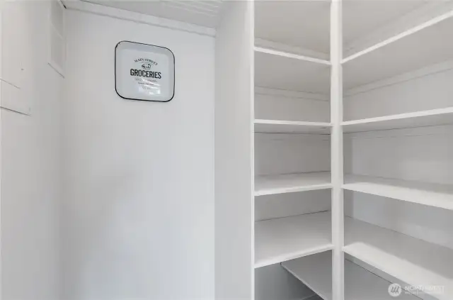 Great pantry space!