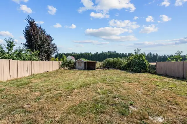 Flat backyard for easy maintenance