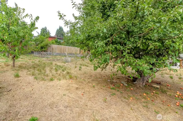 Enjoy mature fruit trees!