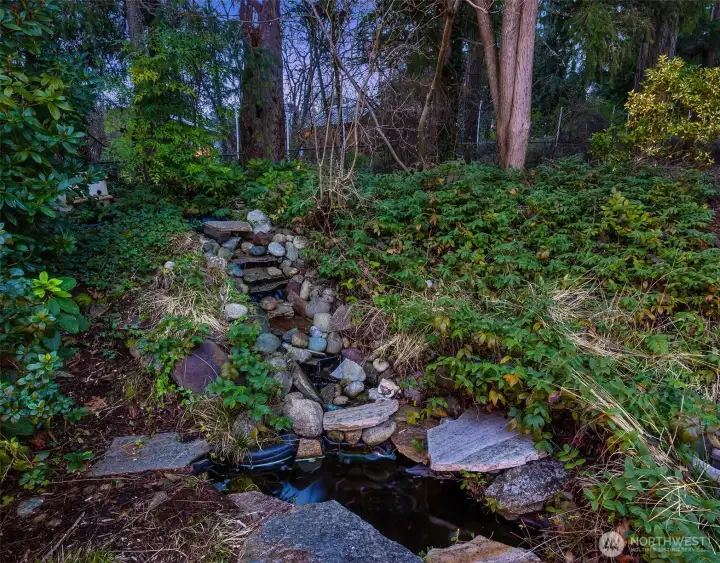 This fountain is just off the deck in the backyard.