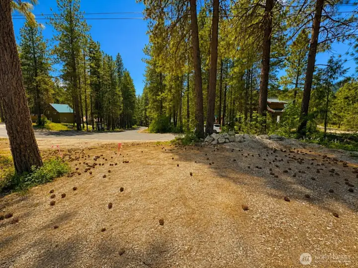 Spacious and level homesite with room to relax, entertain, and enjoy the beauty of the surrounding forest. Mature pine trees and natural mountain scenery create a peaceful outdoor setting ideal for your future getaway cabin or vacation retreat.