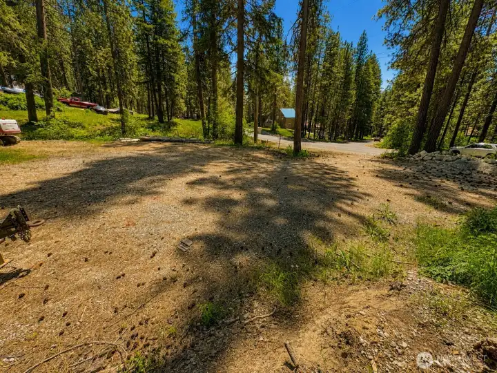 Wide open outdoor space framed by tall pines and natural sunlight, offering a tranquil mountain atmosphere with easy access throughout the community. Perfect for enjoying quiet mornings, outdoor gatherings, and all-season recreation.