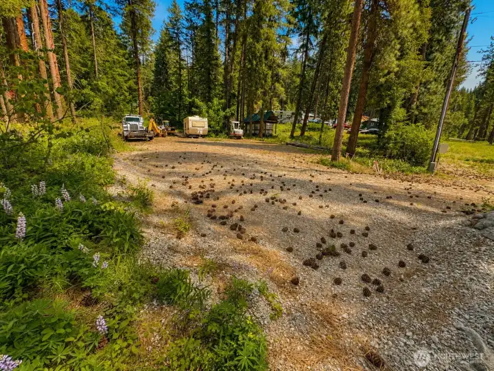 Scenic wooded setting with open space and established access areas surrounded by towering evergreens. Enjoy the calm atmosphere, fresh mountain air, and close proximity to the community’s year-round recreational amenities.