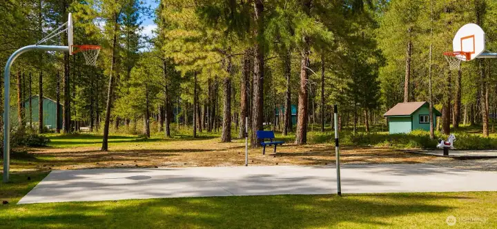 Community basketball courts provide a fun and active outdoor amenity surrounded by beautiful pine forest scenery. Perfect for friendly games, family recreation, and enjoying the mountain lifestyle.