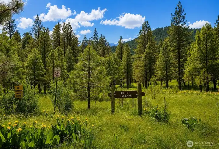 Beautiful open meadow and forest scenery showcase the natural beauty of the Ponderosa Community Club. Enjoy peaceful mountain surroundings, scenic views, and abundant outdoor recreation opportunities nearby.