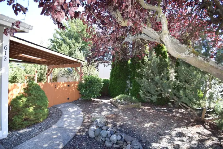side yard