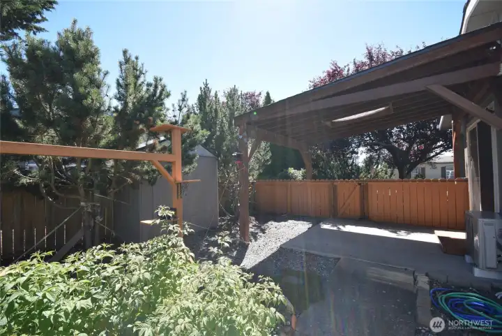 back yard