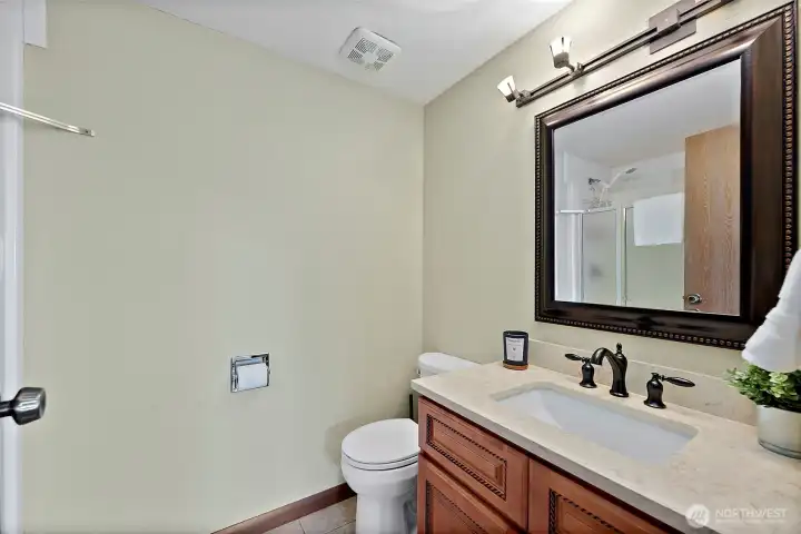 Lower level bathroom with large shower.