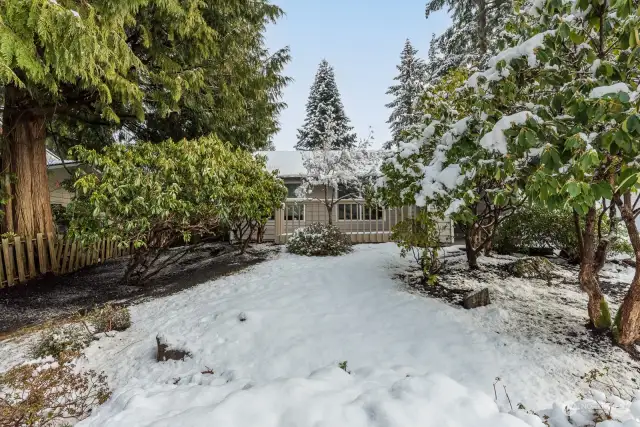 Landscaped front yard with fruit trees, berries and Rhododendron