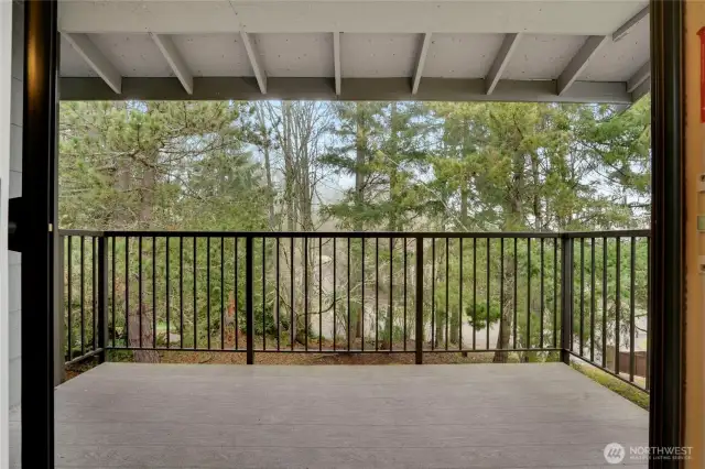 The large deck has room for a table and chairs, plus lots of space for comfortable lounging.