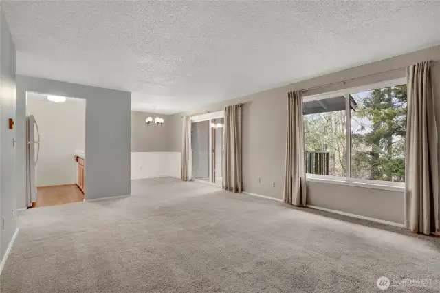 This unit is special because it overlooks trees, not another building.